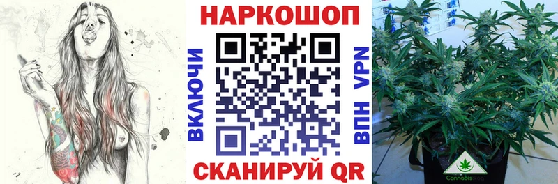 Псилоцибиновые грибы Белореченск