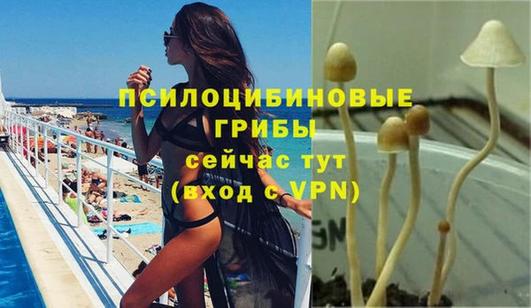 кокаин премиум Богданович