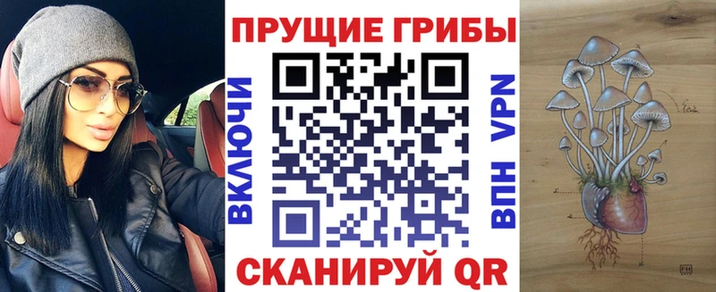 Галлюциногенные грибы Psilocybine cubensis  Белореченск 