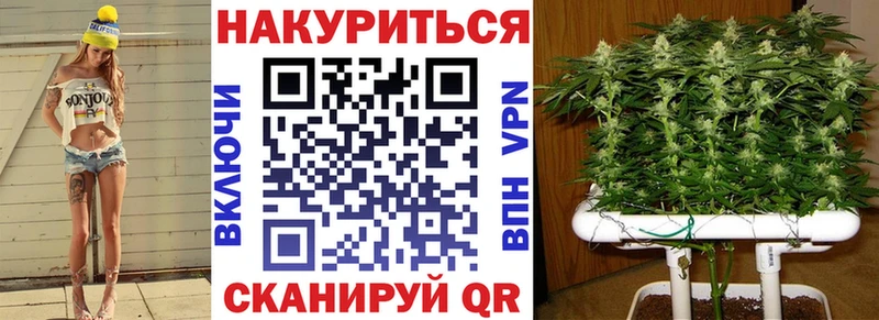 Бошки марихуана планчик  Белореченск 